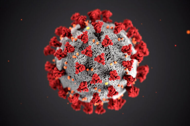 Close-up of the Coronavirus